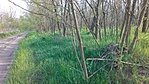 IMG_20180422_080905