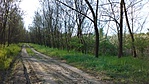 IMG_20180422_082043