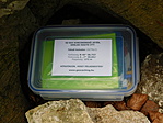 DSCN5448