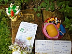 Logbook