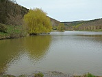 Horgásztó
