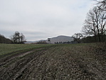 IMG_1608