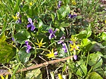 IMG_20180402_155607