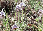 20180415_151548