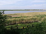 GCbima_20180430103148.jpg