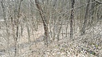 IMG_20180404_110253