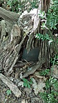 IMG_20180422_104830