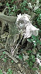 IMG_20180422_104819