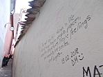 DSCN7509