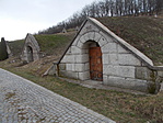 DSCN7416