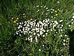 IMG_20180422_114955