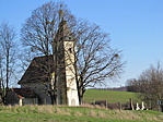 IMG_1218
