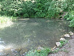DSC00735