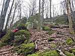20180331_121454