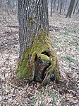 20180402_110112