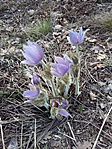 20180402_162551