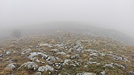 IMG_20180407_103140