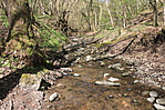 IMG_8136