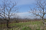 DSC03657