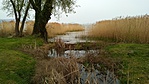 IMG_20180415_133537