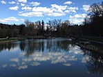 IMG_1450