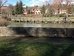 IMG_1445