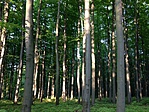 IMG_1768