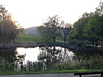 IMG_1769