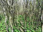 DSC00389