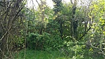 GClige_20180423152420.jpg