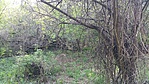 GClige_20180423152424.jpg