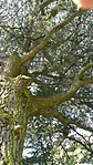 20180423_100749