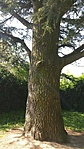 20180423_100812