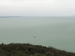 IMG_2990