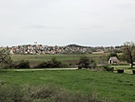 IMG_3009