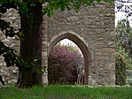 P1560256