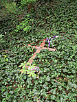 P1560257