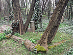 P1560260