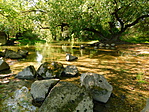 DSCN1852