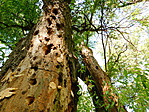 DSCN1893