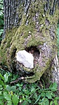 IMG_20180530_191650
