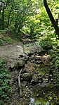 IMG_20180530_152920