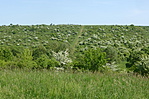 P1270307