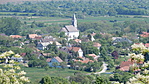 DSCN1518