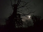 2018-04-28 21.22.33R