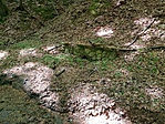 2018-04-28 10.58.17R
