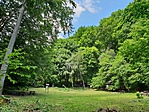 2018-05-12 12.51.25R