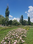 2018-05-26 13.33.53R