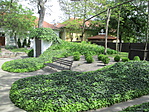IMG_8977