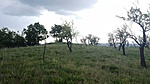 IMG_20180512_154721